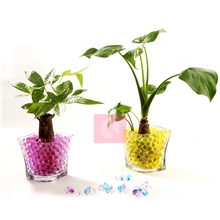 无土养花、水晶泥、永不褪色、海绵宝宝、厂家直销