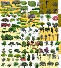 无土栽培基质（东北泥炭土草炭土)