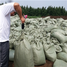 厂家直销绿化用东北泥炭土（草炭土）