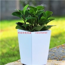 F0911-2方形仿瓷花盆，美耐皿花盆，彩色花盆，melamine花盆