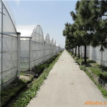 供应温室、温室大棚、钢管大棚(7432型)