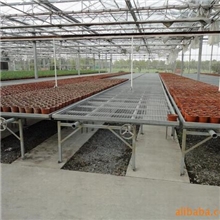 供应单体塑料大棚/移动苗床(培育)