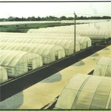 专业生产温室大棚大棚建设