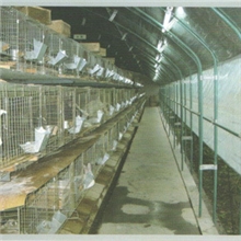 兔子棚厂家提供技术支持价格合理