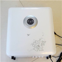 净水器厂家净水机家用净水器反渗透纯水机家用直饮机典雅型