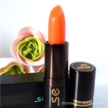 正品6026诗黛尔红萝卜素健康唇膏/口红淡彩淡化唇纹批发供应