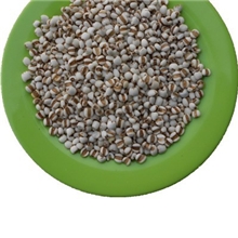 批发薏苡仁薏米仁贵州纯小粒中药材安国中药小包装面膜原材料19元