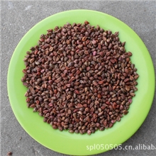 中药材安国小包装养生籽葡萄籽子批发美容美白抗衰老12元/公斤