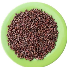 熟葡萄籽低温烘焙五谷杂粮磨坊房中药养生原料批发15元/公斤