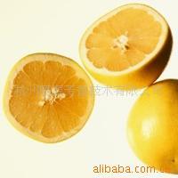 供应巴西甜橙油，甜橙精油，单方精油，散装精油，精油DIY原料