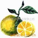 供应优质佛手柑精油，单方精油，散装精油原料，推荐品种