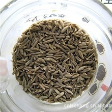 【专业品质/山东名牌】供应一级新疆孜然,纯孜然粉