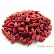 批发供应宁夏枸杞养肝；滋肾；润肺枸杞子