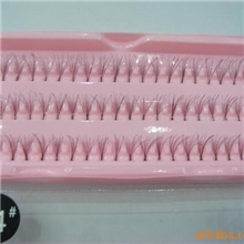 供应嫁接睫毛