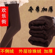 秋冬新品纯色显瘦加厚天鹅绒不倒绒保暖一体裤打底裤厂家批发