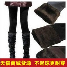 韩国新款秋冬季加厚卡拉珍珠绒无缝弹力大码高腰打底裤天猫货源