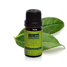 茶树精油10ml天然植物单方精油批发