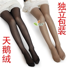 韩国连裤袜子薄款丝袜春夏透明加档天鹅绒打底袜瘦腿塑形袜批发