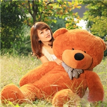 毛绒玩具泰迪熊公仔布娃娃娃娃代销批发网店代理一件代发