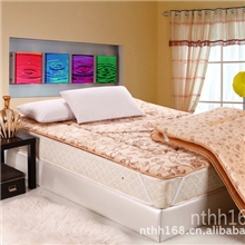 加厚日韩榻榻米单人双人床垫地垫可折叠床垫超柔床垫