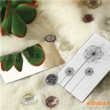 正品保障*HOLI不碎的镜子HL038-03不锈钢化妆镜礼盒装热销礼品