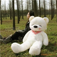 批发供应BODYS泰迪熊1.2米糊涂熊大号预定