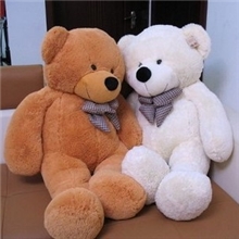 林嘉欣熊泰迪熊抱抱熊大抱熊毛绒玩具毛绒公仔小额批发