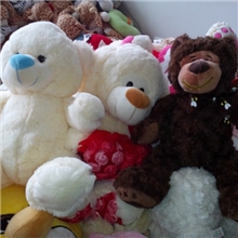 厂家【清仓处理】毛绒玩具，地摊，婚庆，礼物，批发长期合作