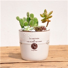 厂家直销新品热卖zakka陶瓷花盆仿搪瓷复古陶瓷花盆工艺品9681