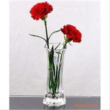 【时昕】供应批发：透明八角型玻璃花瓶花插水培富贵竹花瓶