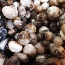 天眼玛瑙眼睛玛瑙手链料项链料