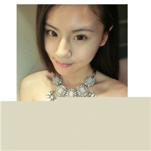 欧美饰品批发欧美夸张大牌项链明星同款奢华新款热卖XL0232