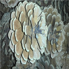 批发供应松果本地松马尾松3&mdash;8cm本店支持批发