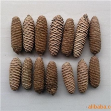 批发供应白松云杉松果6-15cm支持混批