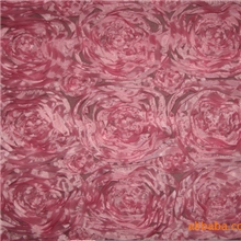 超声波双带子绣花