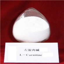 供应L-肉碱（左旋肉碱、译卡尼丁）原料药