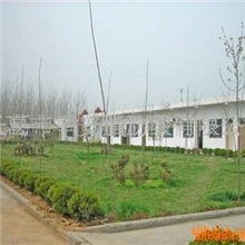 高光356-2涤纶改性醇酸树脂