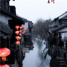 LED亚克力注塑灯笼户外景观节日灯椰子树灯工程别墅中国结灯饰