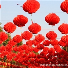 婚庆/塑纸/节日/开业庆典/喜庆/小红灯笼串/厂家定制广告灯笼1