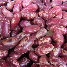 供应求购天然无公害绿色食品豆类豇豆400g/袋真空包