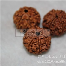 菩提子批发6瓣/六瓣大金刚菩提散珠批发20~21mm天然金刚菩提子