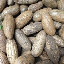 非洲进口千眼菩提子原籽原果手球小千眼长度20-40mm大量批发