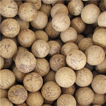 批发象牙果特大进口菩提根原籽2.3-2.7cm原料按斤批发厂家直销