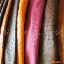 批发鸵鸟皮革鸵鸟皮