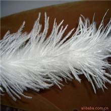 供应环保鸵鸟毛条