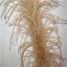 鸵鸟毛,鸵鸟毛条,环保鸵鸟毛条,环保服装鸵鸟毛条