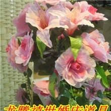 专业供应韩式装饰仿真花27头四面下垂路引花布花仿真花