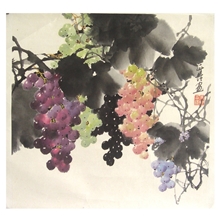 正品保证余正培名作50*50cm中国画植物画2重庆专卖