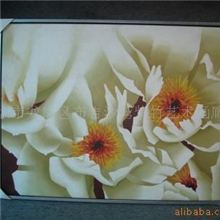 批发手绘油画花卉油画家居酒店组合装饰油画大芬