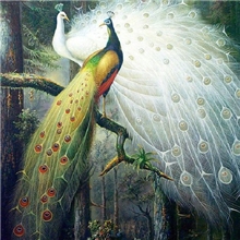 特价绿光森林孔雀立体绣树脂钻钻石画免费淘宝代销